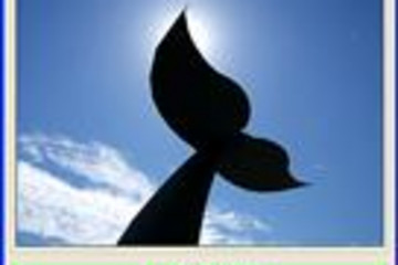 Turbine Video Encoder预览：